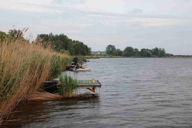 bojlsi00021