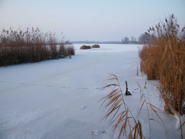 fog28