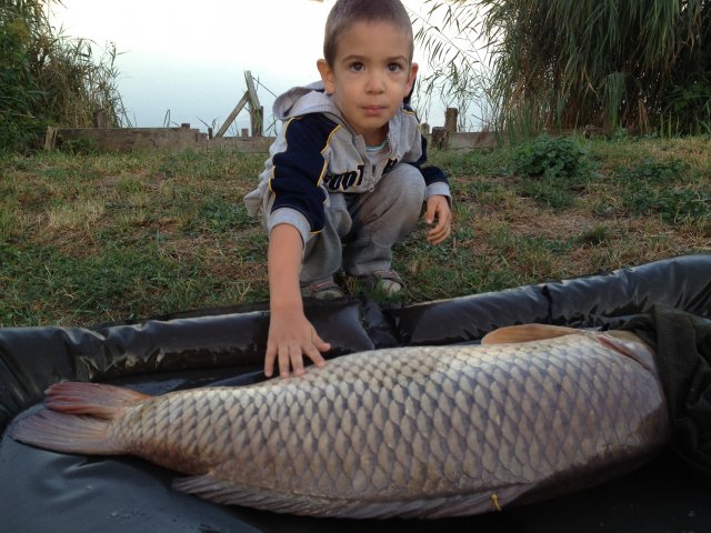 z15kilo