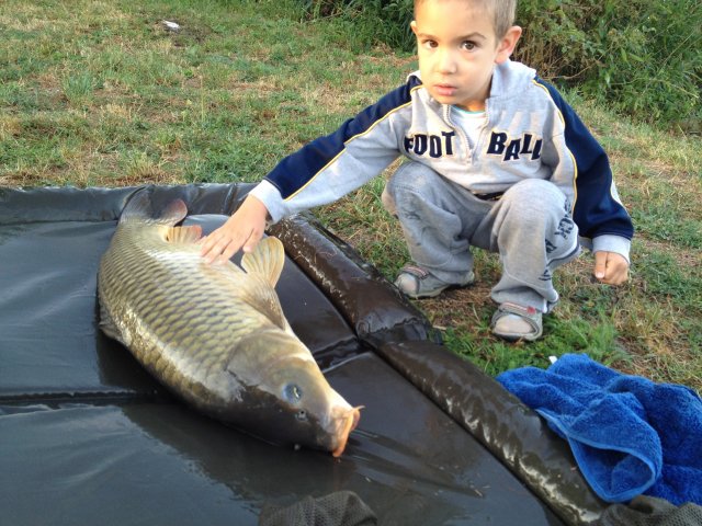 z9kilo
