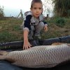 z15kilo