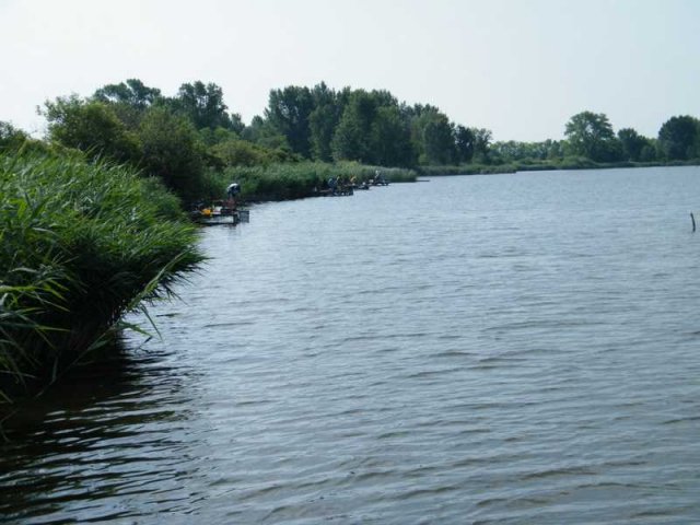 tozeg9
