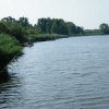 tozeg9
