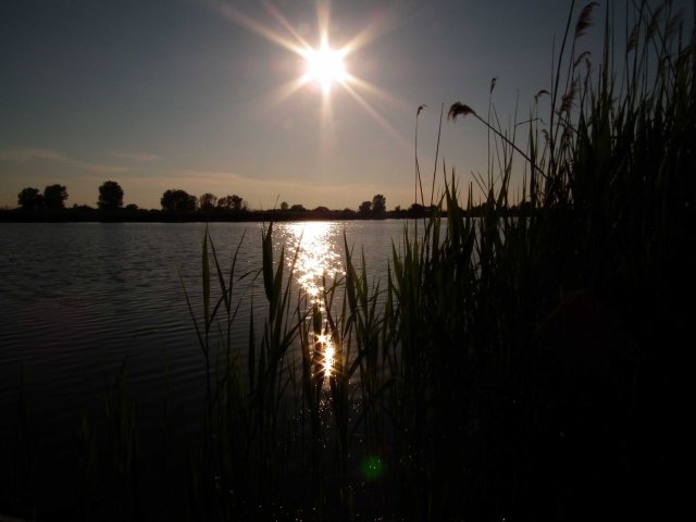 szm9