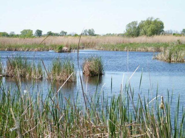 toz3